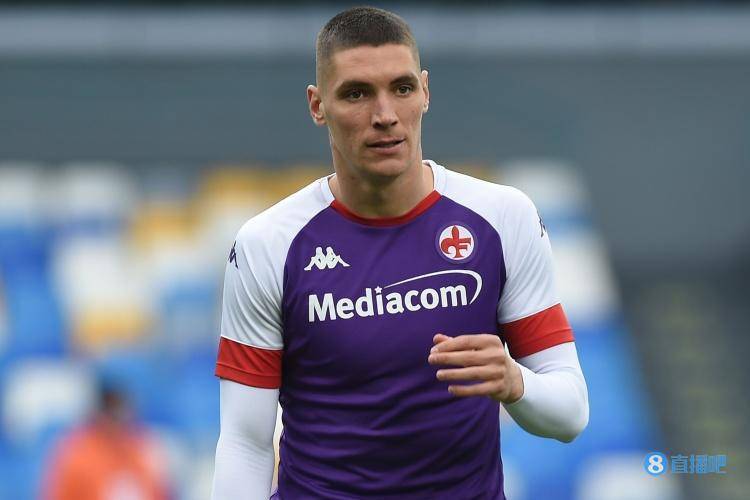 张本智和在 张本智和在